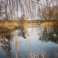 2021-01-24 getrennte Corona Grünkohlwanderung Familien Demuth, Glagau, Hägerling, Heuer, Lüssmann, Piening und Gabi und Uschi 071
